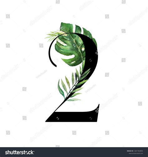 Floral Tropical Numbers Black Digit 2 Stock Illustration 1281763894