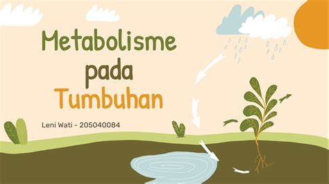 Metabolisme Pada Tumbuhan Fisiologi Tumbuhan Leni Wati Youtube