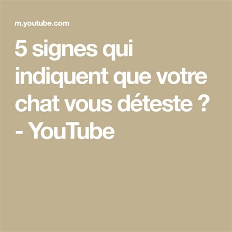 Signes Qui Indiquent Que Votre Chat Vous D Teste Youtube