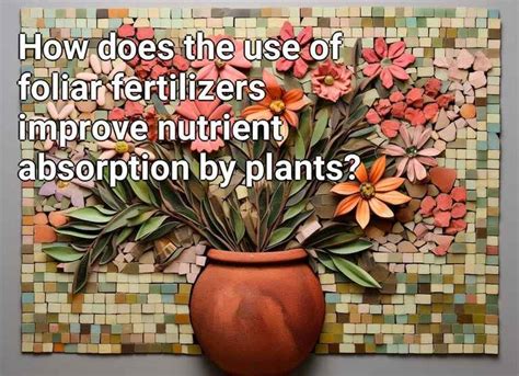 How Does The Use Of Foliar Fertilizers Improve Nutrient Absorption By