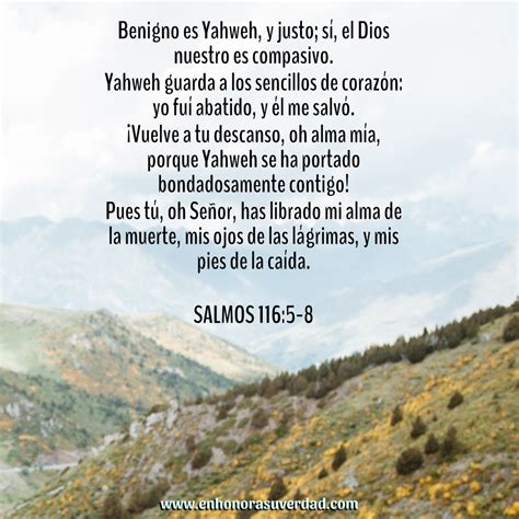 Salmos 1165 8