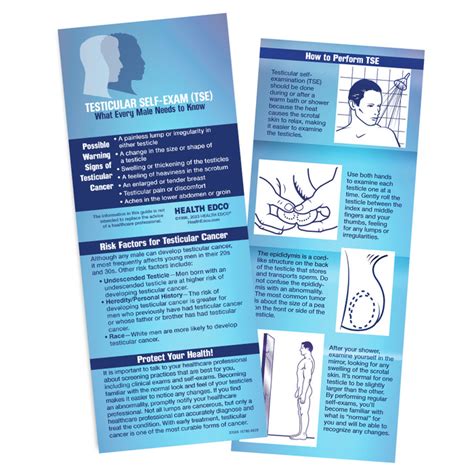 Testicular Self Exam Tse Mini Pocket Guide Health Edco