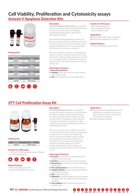 Cell Viability Proliferation And Cytotoxicity Assays Annexin V Apoptosis Detection Kits Docslib