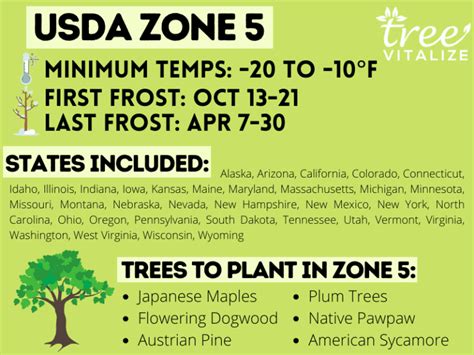 USDA Zone 5: Where is it? What to Plant? Tips to Success