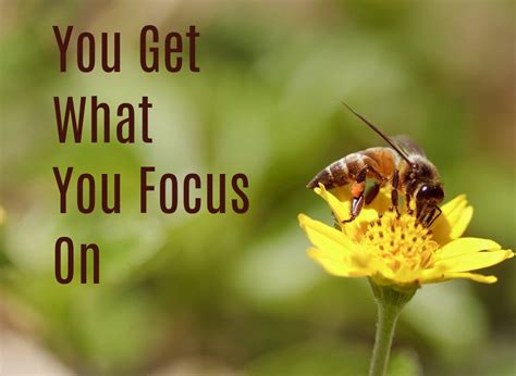 focus    choose