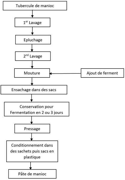 Diagramme de transformation du manioc en pâte de manioc Download