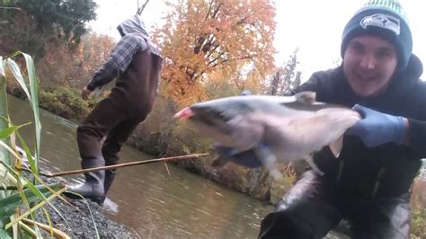 Fall Coho Salmon Float Fishing Youtube