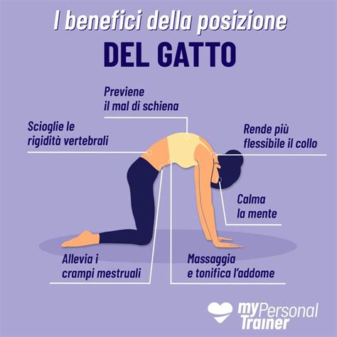 Posizione Yoga Del Gatto Benefici Sessioni Di Yoga Esercizi Di Yoga