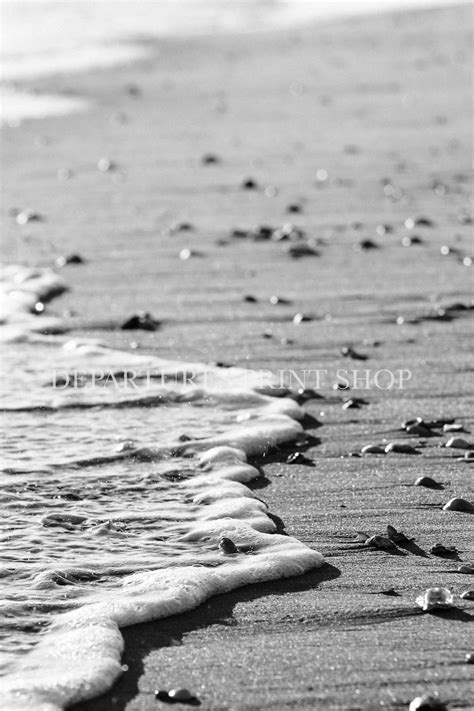 Black and White Beach Photography Seashells Ocean Neutral - Etsy