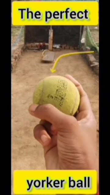 How To Perfect Yorker Ball In Wickets To Wicket Short Chotu Player 009 Dhoni Lovers Cricket