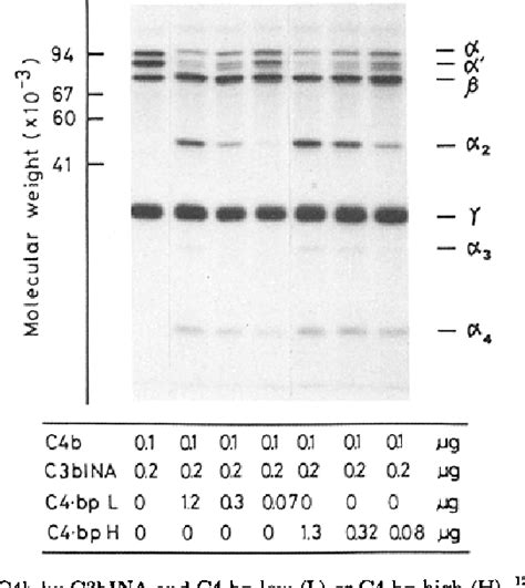 Figure 4 From The Role Of C4 Binding Protein And Beta 1H In