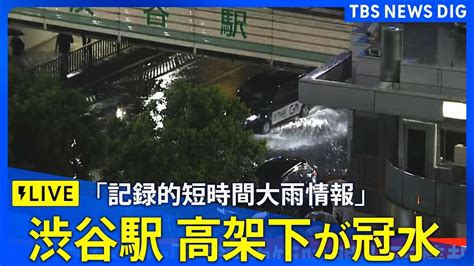 【live】ゲリラ豪雨に警戒 東京都に「記録的短時間大雨情報」 港区付近で1時間に約100ミリの猛烈な雨 各地のライブカメラを確認（2024年8月21日） Tbs News Dig