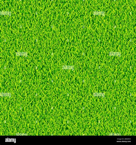 Green Grass Background Vector Stock Vector Image And Art Alamy