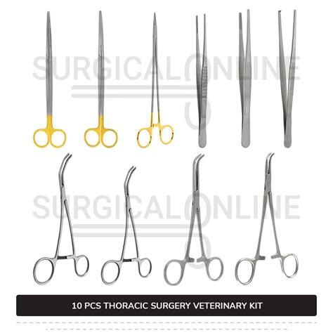 Thoracic Surgery Kit of 10 Pcs Surgical Veterinary Instruments Set