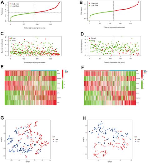 An Immune Subtype Related Prognostic Signature Of Hepatocellular