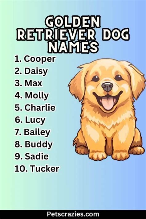 300+ Golden Retriever Dog Names (Memorable Monikers)