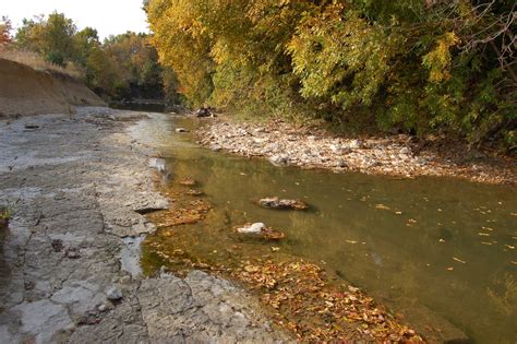 Gallery Preservation Society For Spring Creek Forest