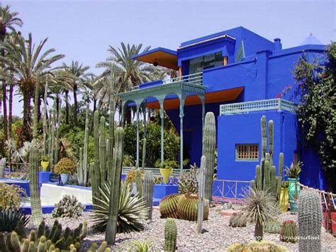 Les jardins Majorelle un trésor des plantes exotiques à Marrakech