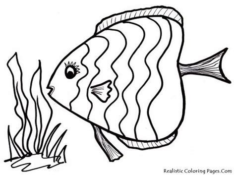 Realistic Fish Coloring Pages - Coloring Home