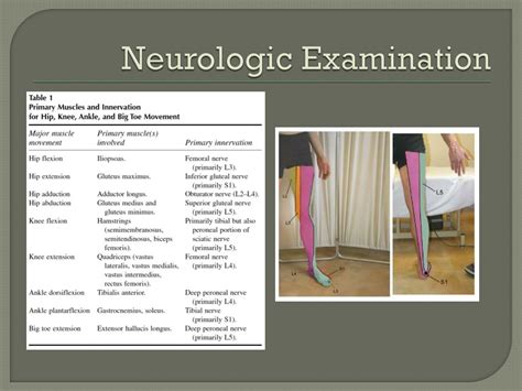 Ppt Spinal Stenosis Neurogenic Claudication Powerpoint Presentation Id 6517751