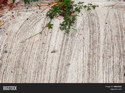 Concrete Ground Image & Photo (Free Trial) | Bigstock