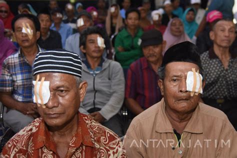 Persen Kebutaan Terjadi Akibat Katarak Di Indonesia Antara News