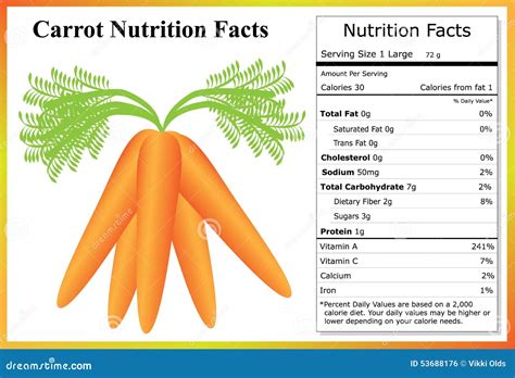 Carrot Nutrition Facts Stock Vector Image Of Organic 53688176