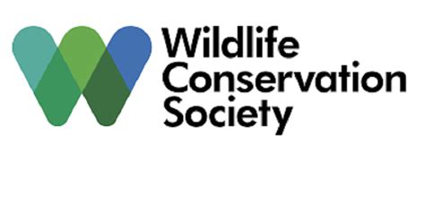 Long Internationale Wildlife Conservation Society Wcs Recrute Pour