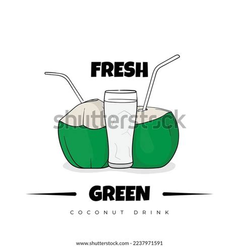 Two Young Coconut Straw Coconut Water Stock Vector Royalty Free