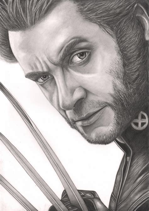 Hugh Jackman Wolverine Drawing No Background By Pen Tacular Artist On