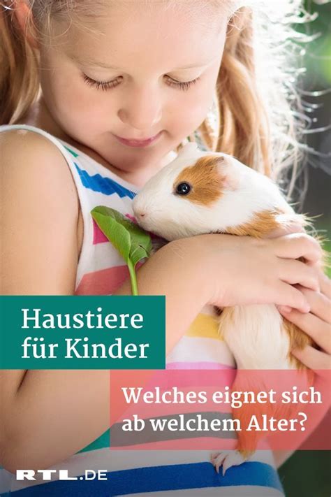 Haustiere für Kinder Welches Tier eignet sich ab welchem Alter