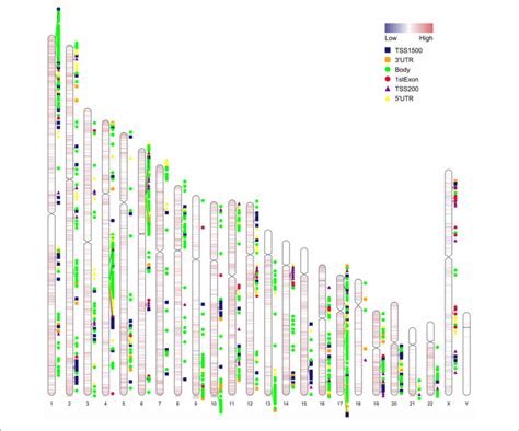 Chromosome Distribution Of Differentially Methylated Intergenic Cpgs