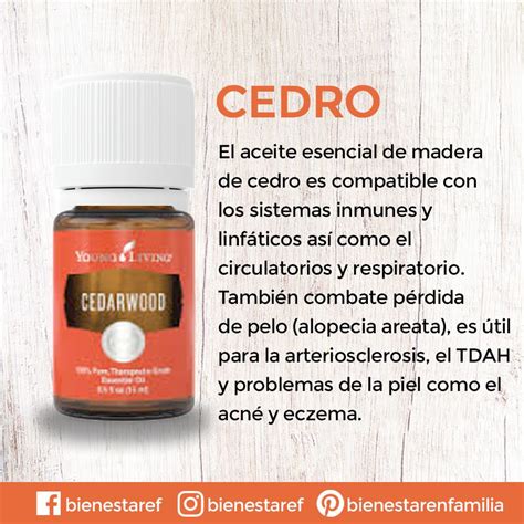 Aceite Esencial De Cedro Aceite Esencial De Cedro Recetas De Aceites