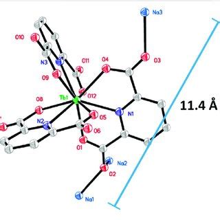 Single Crystal Structure Of Na Tb Pda H Atoms And Water