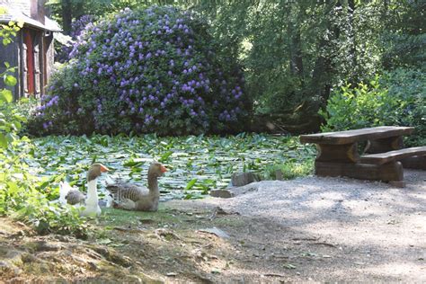 Besuch Im Englischen Garten In Eulbach Britta On Tour