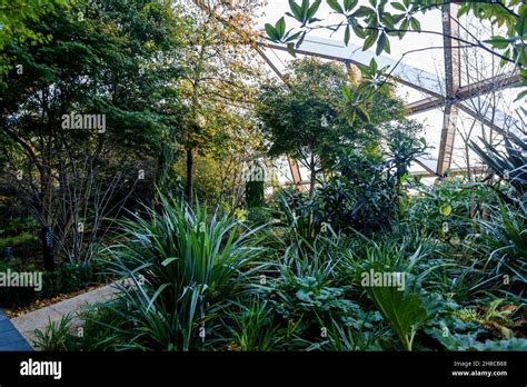 Pergola On The Wharf Theatre Crossrail Place Roof Garden Canary Wharf