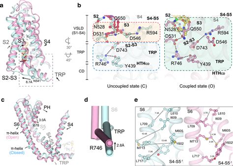 Ligand Dependent Conformational Changes Of Trpv A Comparison Of