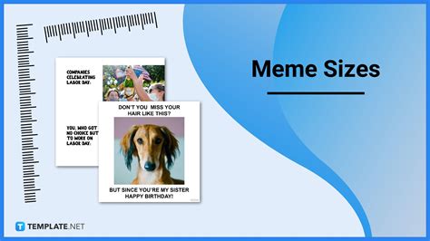 Meme Size - Dimension, Inches, mm, cms, Pixel