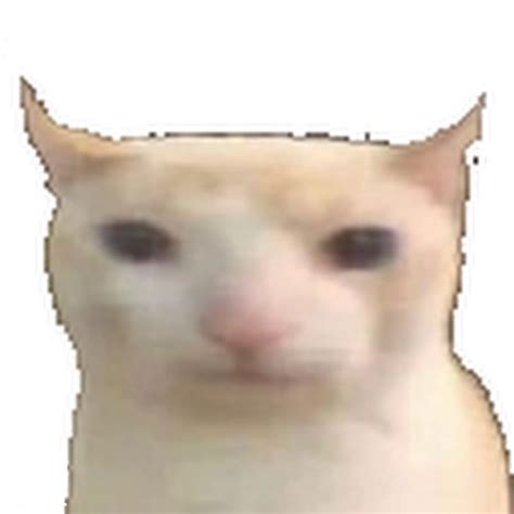 Low Quality Cat Blank Template - Imgflip