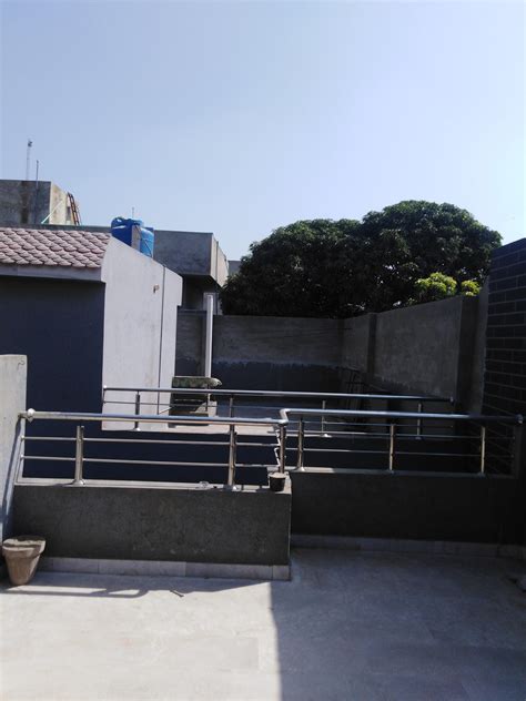 A Mango Tree In Front Of My Roof Top Scrolller