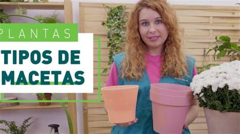 Plantas De Exterior En Maceta Mejores Tipos