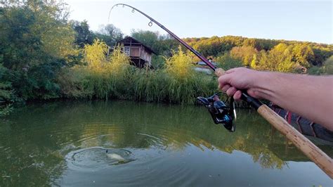 Pescuit La Feeder Cu Furaje De Crap Ieftine Pescuit In Balta Din