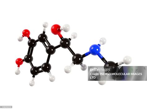 Adrenaline Hormone Molecule Computer Artwork Showing The Molecular ...