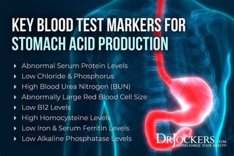 Ways To Test Your Stomach Acid Levels Drjockers