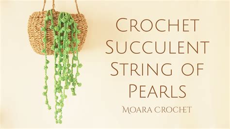 Free Crochet Succulent Pattern String Of Pearls Moara Crochet YouTube