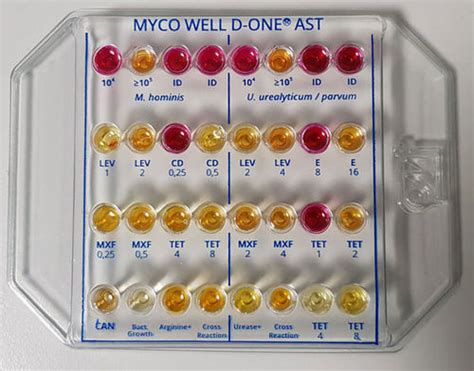 抗生素敏感性测试快速诊断套装 Ms01347 Cpm Sas 用于鉴定分析 泌尿系统