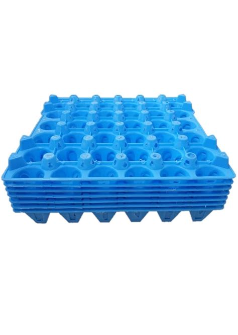 buy daily  pack   plastic egg trays  storage  holes
