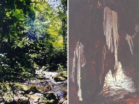 Gruta De Lancinha Em Rio Branco Do Sul Patrim Nio Cultural Bens