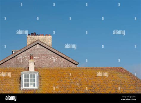 Roof tiles covered in moss Stock Photo - Alamy