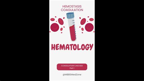 Hematology Made Easy Hemostasis Coagulation Cascade Part 1 In Uruguay